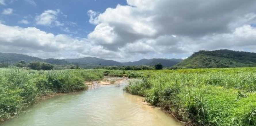 161956m² Land in Phang Nga, Thailand No. 96317