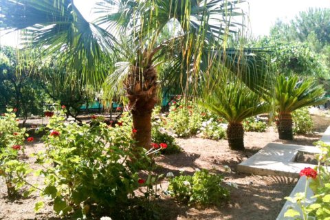 Studio Villa in Limassol, Cyprus No. 105721 7