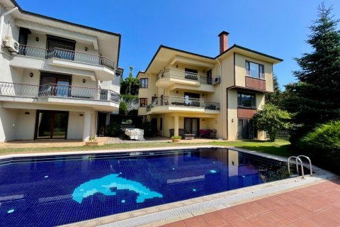 Вилла с 6 спальнями в Стамбул, Турция №15343