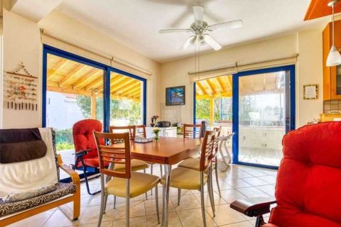 6 bedrooms House in Ayia Napa, Cyprus No. 30177 10