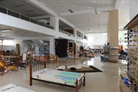 4665m² Building in Argolis, Greece No. 57740 8