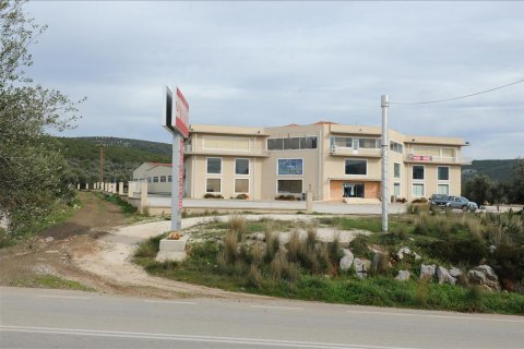 4665m² Building in Argolis, Greece No. 57740 1