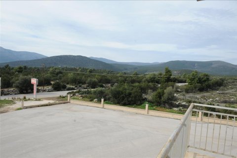 4665m² Building in Argolis, Greece No. 57740 5