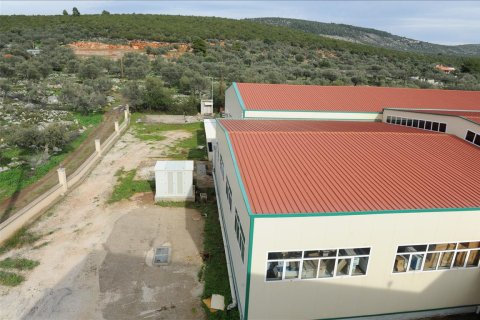4665m² Building in Argolis, Greece No. 57740 3