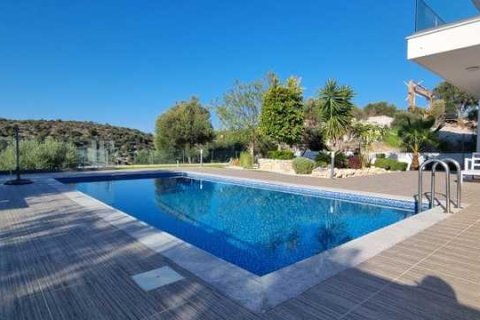 4 chambres Villa à Kouklia, Cyprus No. 84347 4