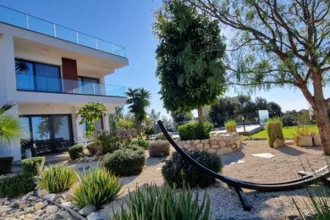 4 chambres Villa à Kouklia, Cyprus No. 84347 3