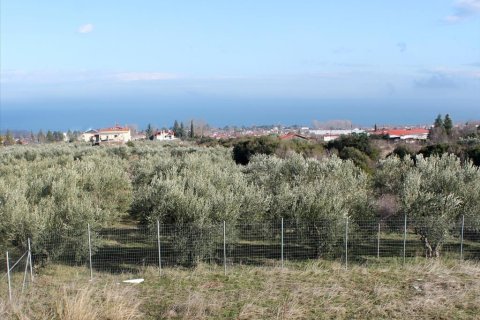 3 chambres House à Pieria, Greece No. 54723 6