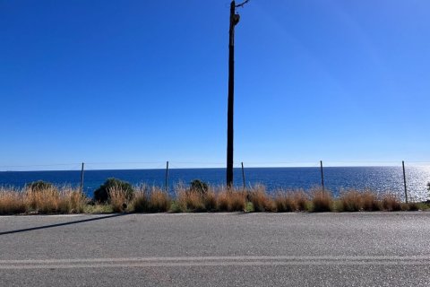 144m² Business in Lasithi, Greece No. 107662 4