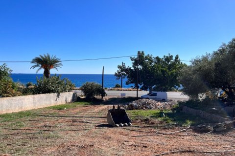 144m² Business in Lasithi, Greece No. 107662 13