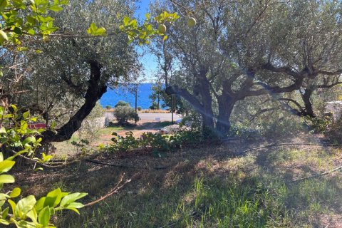 144m² Business in Lasithi, Greece No. 107662 14