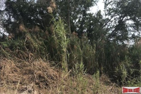 13412.5m² Land in Phang Nga, Thailand No. 95984 3