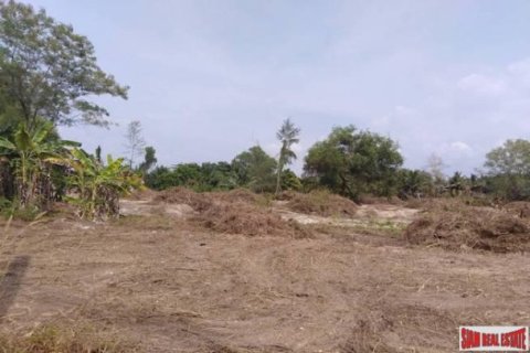 13412.5m² Land in Phang Nga, Thailand No. 95984 5