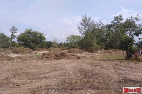 13412.5m² Land in Phang Nga, Thailand No. 95984 4