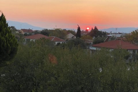 4 rooms Building in Kavala, Greece No. 108314 11