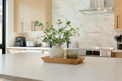 1 bedroom Condo  in Avon, USA No. 82953 17