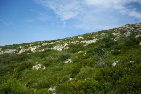 Land in Zakynthos, Greece No. 24700 5