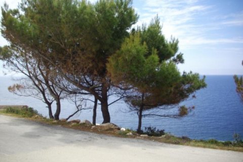 Land in Zakynthos, Greece No. 24700 4