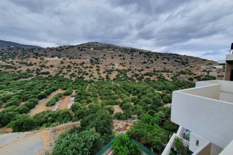 6 bedrooms Building in Lasithi, Greece No. 55859 16