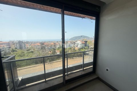 Квартира с 1 спальней в Chau Lang, Вьетнам №11548 14