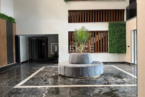 Квартира с 1 спальней в Chau Lang, Вьетнам №11548 25