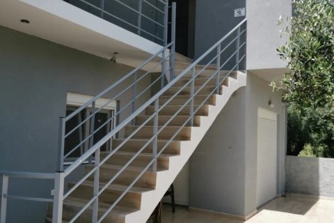 9 rooms Business in Chalkidiki, Greece No. 54432 4