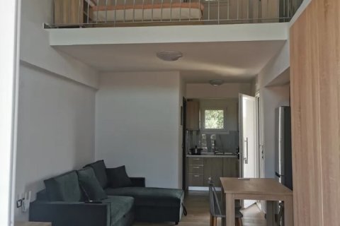 9 rooms Business in Chalkidiki, Greece No. 54432 24