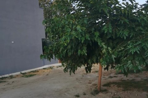 9 rooms Business in Chalkidiki, Greece No. 54432 16