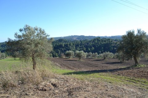 11738m² Land in Chalkidiki, Greece No. 58397 3