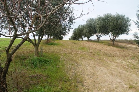 Земельный участок 7350м² в Термаикос, Греция №59971 7