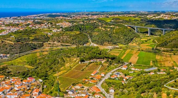 Кто такой экспат