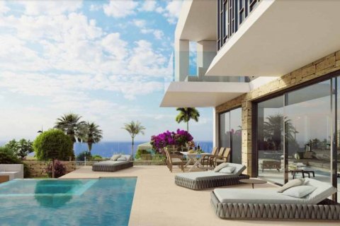 3 bedrooms House in Pegeia, Cyprus No. 37269 6