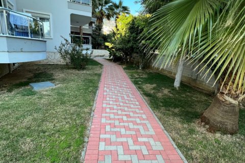 2 bedrooms Apartment in Chau Lang, Vietnam No. 12016 15