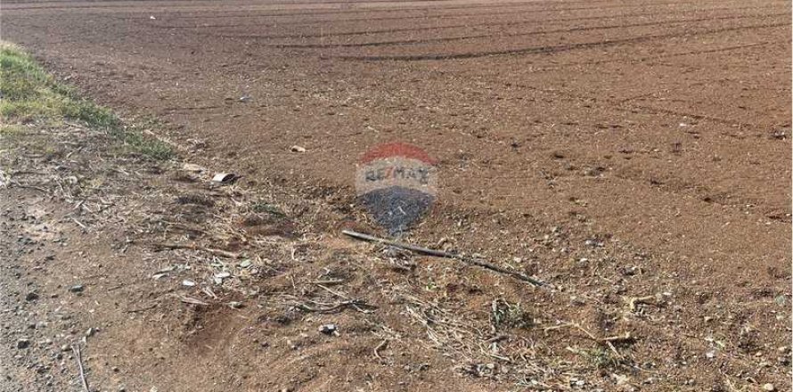 Коммерческая недвижимость в Лимассол, Кипр №75871