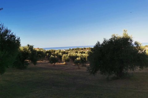 6253m² Land en Zacharo, Greece No. 108026 3
