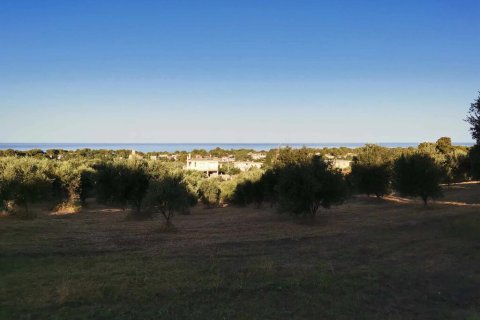 6253m² Land en Zacharo, Greece No. 108026 4