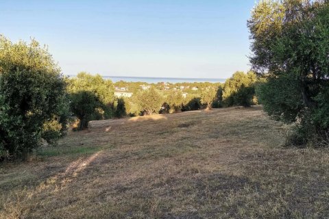 6253m² Land en Zacharo, Greece No. 108026 7