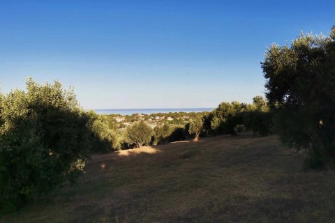 6253m² Land en Zacharo, Greece No. 108026 2