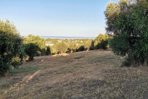 6253m² Land en Zacharo, Greece No. 108026 8