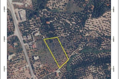 6253m² Land en Zacharo, Greece No. 108026 11