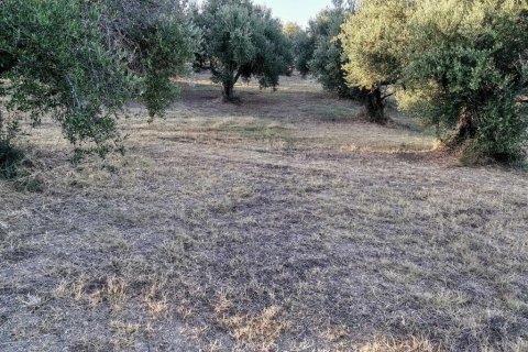 6253m² Land en Zacharo, Greece No. 108026 10