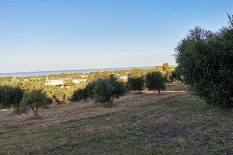 6253m² Land en Zacharo, Greece No. 108026 1