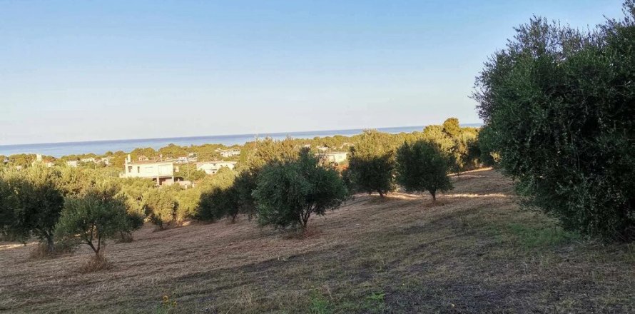 6253m² Land en Zacharo, Greece No. 108026