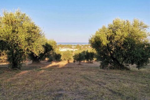 6253m² Land en Zacharo, Greece No. 108026 9