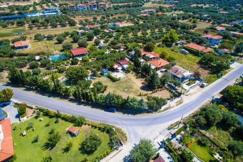 2500m² Land in Chalkidiki, Greece No. 59025 4