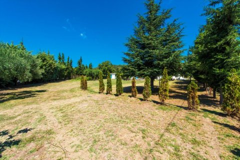 2500m² Land in Chalkidiki, Greece No. 59025 8