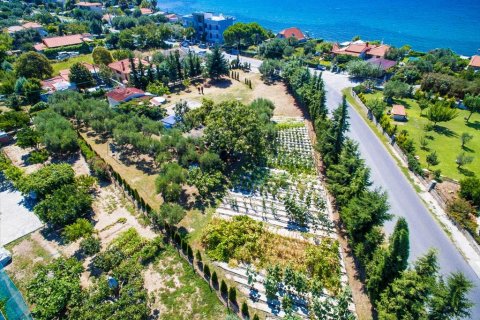 2500m² Land in Chalkidiki, Greece No. 59025 6