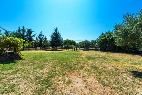 2500m² Land in Chalkidiki, Greece No. 59025 9