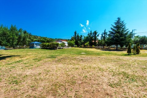 2500m² Land in Chalkidiki, Greece No. 59025 12