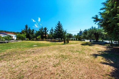 2500m² Land in Chalkidiki, Greece No. 59025 13