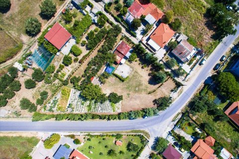 2500m² Land in Chalkidiki, Greece No. 59025 14